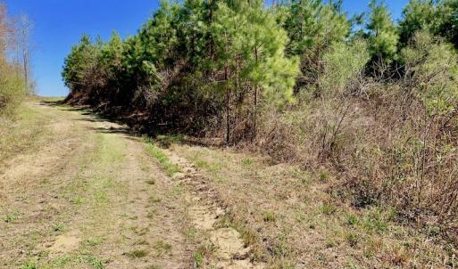 Photo of UNDER CONTRACT!  56.69 Acres of Farm and Timber Land For Sale in Wilson County NC!