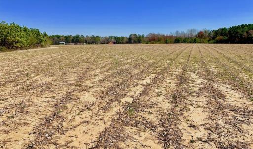Photo of UNDER CONTRACT!  56.69 Acres of Farm and Timber Land For Sale in Wilson County NC!