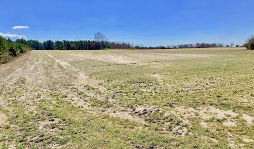 Photo of UNDER CONTRACT!  56.69 Acres of Farm and Timber Land For Sale in Wilson County NC!