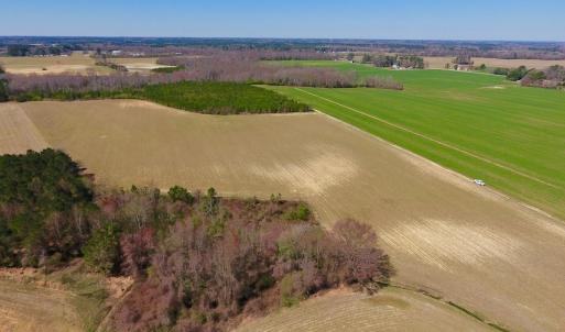 Photo of UNDER CONTRACT!  56.69 Acres of Farm and Timber Land For Sale in Wilson County NC!