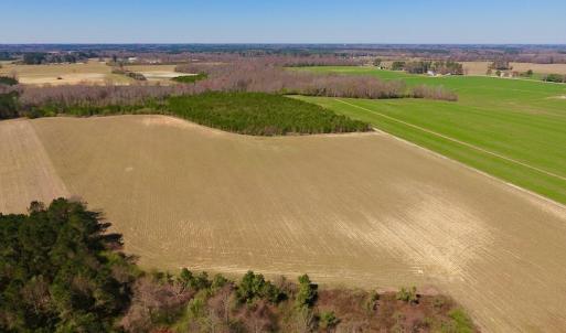 Photo of UNDER CONTRACT!  56.69 Acres of Farm and Timber Land For Sale in Wilson County NC!