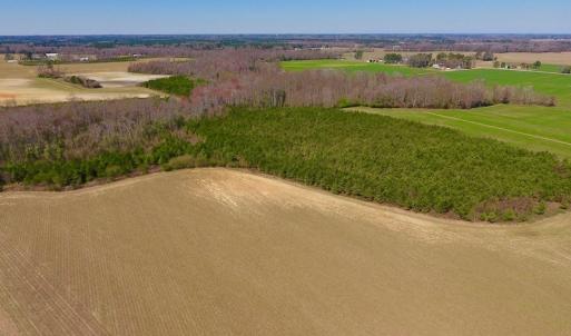 Photo of UNDER CONTRACT!  56.69 Acres of Farm and Timber Land For Sale in Wilson County NC!