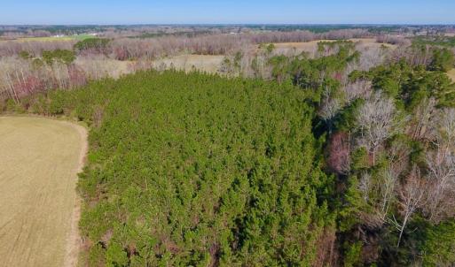 Photo of UNDER CONTRACT!  16.44 Acres of Investment Land For Sale in Wilson County NC!