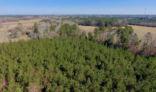 Photo of UNDER CONTRACT!  16.44 Acres of Investment Land For Sale in Wilson County NC!