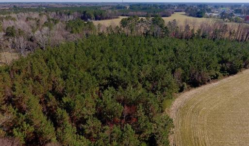 Photo of UNDER CONTRACT!  16.44 Acres of Investment Land For Sale in Wilson County NC!