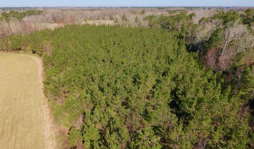 Photo of UNDER CONTRACT!  16.44 Acres of Investment Land For Sale in Wilson County NC!