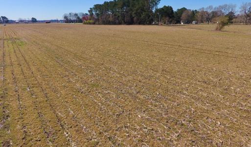 Photo of UNDER CONTRACT!  16.44 Acres of Investment Land For Sale in Wilson County NC!