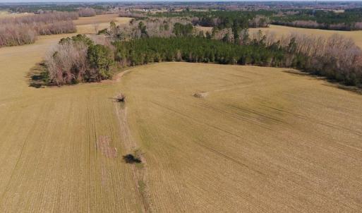 Photo of UNDER CONTRACT!  16.44 Acres of Investment Land For Sale in Wilson County NC!