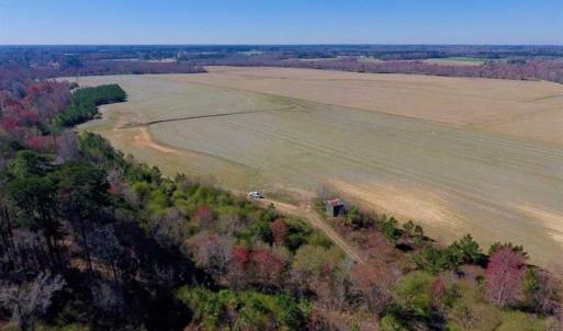 Photo of SOLD!!  81.75 Acres of Farm and Timber Land For Sale in Wilson County NC!