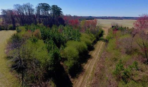 Photo of SOLD!!  81.75 Acres of Farm and Timber Land For Sale in Wilson County NC!