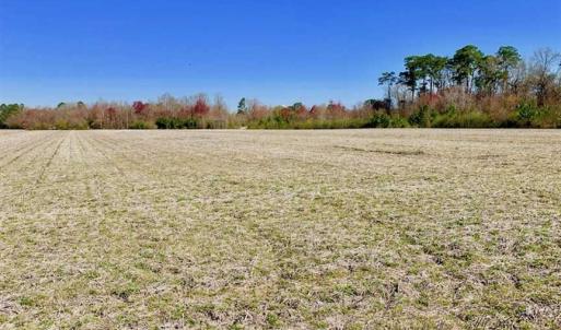 Photo of SOLD!!  81.75 Acres of Farm and Timber Land For Sale in Wilson County NC!