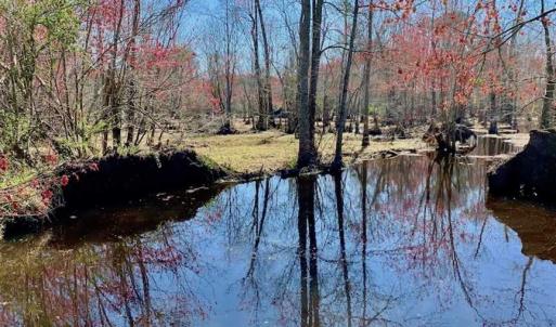 Photo of SOLD!!  81.75 Acres of Farm and Timber Land For Sale in Wilson County NC!