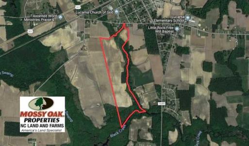 Photo of SOLD!!  81.75 Acres of Farm and Timber Land For Sale in Wilson County NC!