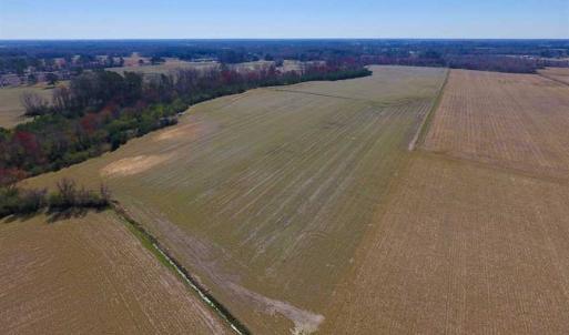 Photo of SOLD!!  81.75 Acres of Farm and Timber Land For Sale in Wilson County NC!