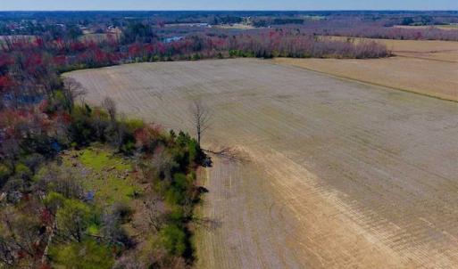 Photo of SOLD!!  81.75 Acres of Farm and Timber Land For Sale in Wilson County NC!