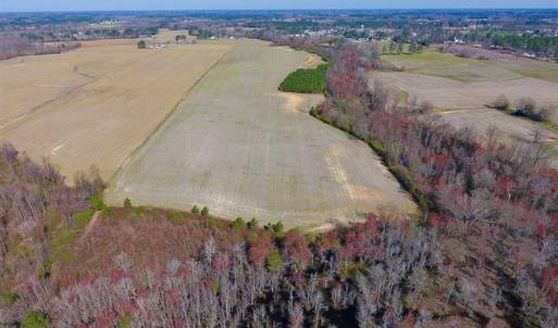 Photo of SOLD!!  81.75 Acres of Farm and Timber Land For Sale in Wilson County NC!