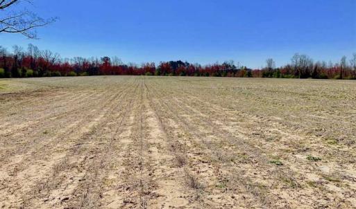 Photo of SOLD!!  81.75 Acres of Farm and Timber Land For Sale in Wilson County NC!