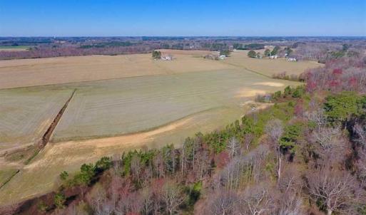 Photo of SOLD!!  81.75 Acres of Farm and Timber Land For Sale in Wilson County NC!
