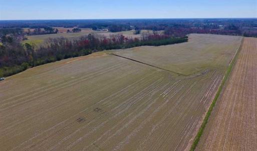 Photo of SOLD!!  81.75 Acres of Farm and Timber Land For Sale in Wilson County NC!
