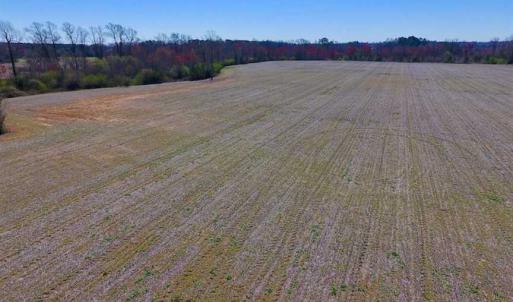 Photo of SOLD!!  81.75 Acres of Farm and Timber Land For Sale in Wilson County NC!