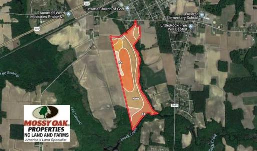 Photo of SOLD!!  81.75 Acres of Farm and Timber Land For Sale in Wilson County NC!