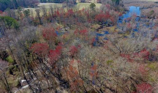Photo of SOLD!!  81.75 Acres of Farm and Timber Land For Sale in Wilson County NC!