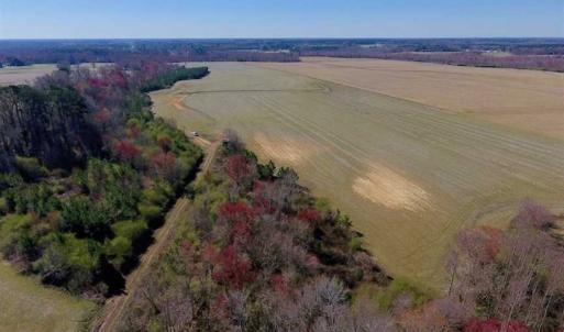 Photo of SOLD!!  81.75 Acres of Farm and Timber Land For Sale in Wilson County NC!