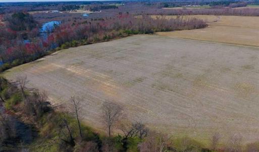 Photo of SOLD!!  81.75 Acres of Farm and Timber Land For Sale in Wilson County NC!