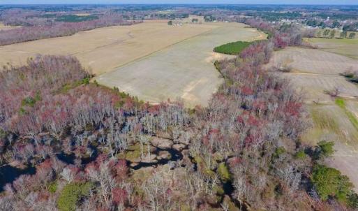 Photo of SOLD!!  81.75 Acres of Farm and Timber Land For Sale in Wilson County NC!