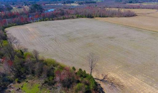 Photo of SOLD!!  81.75 Acres of Farm and Timber Land For Sale in Wilson County NC!
