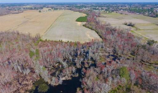 Photo of SOLD!!  81.75 Acres of Farm and Timber Land For Sale in Wilson County NC!