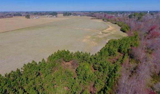 Photo of SOLD!!  81.75 Acres of Farm and Timber Land For Sale in Wilson County NC!