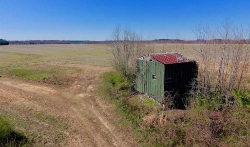 Photo of SOLD!!  81.75 Acres of Farm and Timber Land For Sale in Wilson County NC!