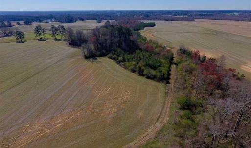 Photo of SOLD!!  81.75 Acres of Farm and Timber Land For Sale in Wilson County NC!