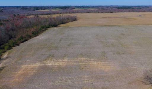 Photo of SOLD!!  81.75 Acres of Farm and Timber Land For Sale in Wilson County NC!