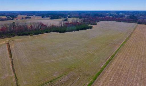 Photo of SOLD!!  81.75 Acres of Farm and Timber Land For Sale in Wilson County NC!
