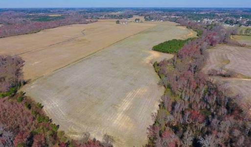 Photo of SOLD!!  81.75 Acres of Farm and Timber Land For Sale in Wilson County NC!