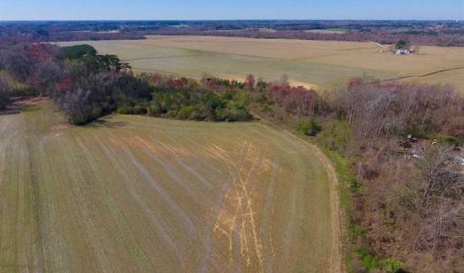Photo of SOLD!!  81.75 Acres of Farm and Timber Land For Sale in Wilson County NC!