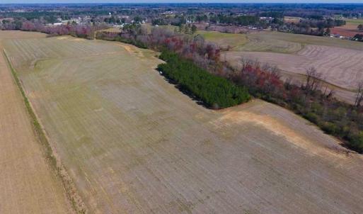 Photo of SOLD!!  81.75 Acres of Farm and Timber Land For Sale in Wilson County NC!