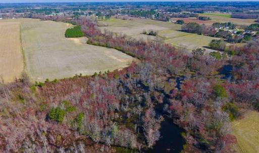 Photo of SOLD!!  81.75 Acres of Farm and Timber Land For Sale in Wilson County NC!