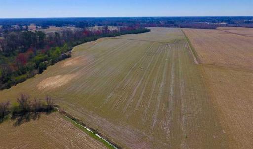Photo of SOLD!!  81.75 Acres of Farm and Timber Land For Sale in Wilson County NC!
