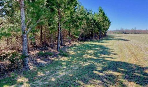 Photo of SOLD!!  81.75 Acres of Farm and Timber Land For Sale in Wilson County NC!