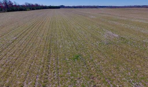 Photo of SOLD!!  81.75 Acres of Farm and Timber Land For Sale in Wilson County NC!