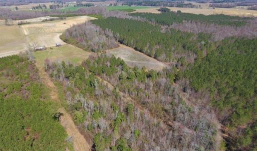 Photo of SOLD!  43 Acres of Farm and Timber Land For Sale in Wilson County NC!