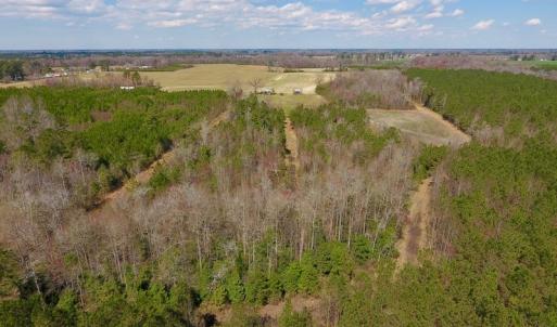 Photo of SOLD!  43 Acres of Farm and Timber Land For Sale in Wilson County NC!