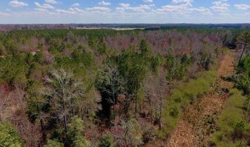 Photo of SOLD!  43 Acres of Farm and Timber Land For Sale in Wilson County NC!