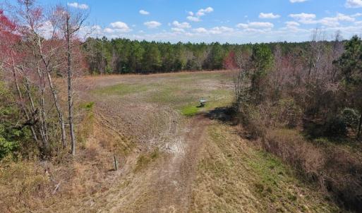 Photo of SOLD!  43 Acres of Farm and Timber Land For Sale in Wilson County NC!