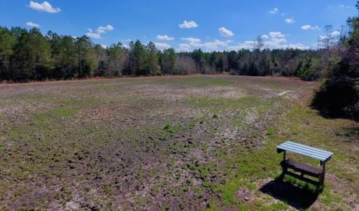 Photo of SOLD!  43 Acres of Farm and Timber Land For Sale in Wilson County NC!