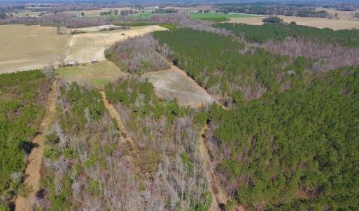 Photo of SOLD!  43 Acres of Farm and Timber Land For Sale in Wilson County NC!