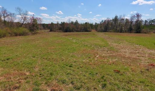 Photo of SOLD!  43 Acres of Farm and Timber Land For Sale in Wilson County NC!